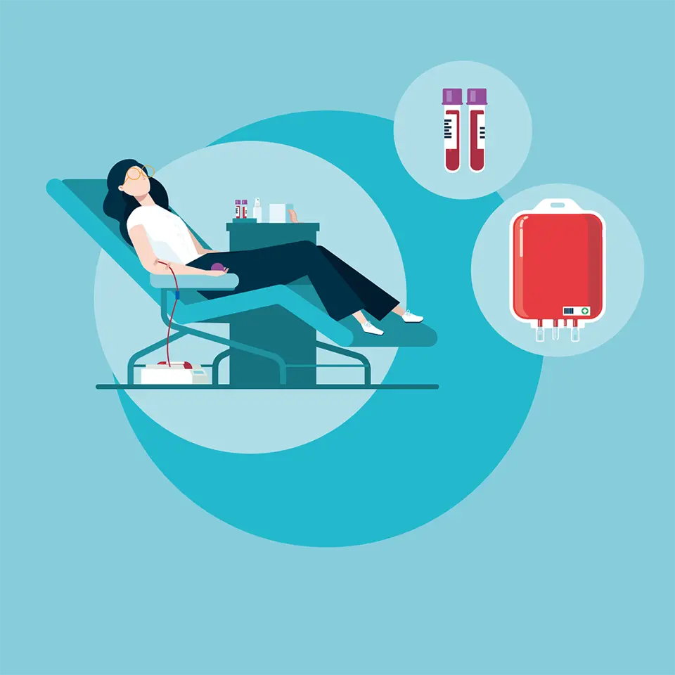 Der Weg des Blut­beutels #2